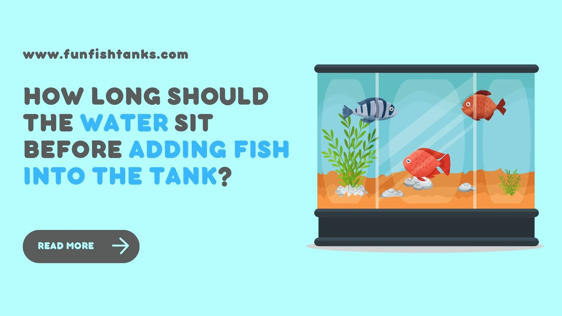 How long should the Water Sit before Adding Fish into the Tank