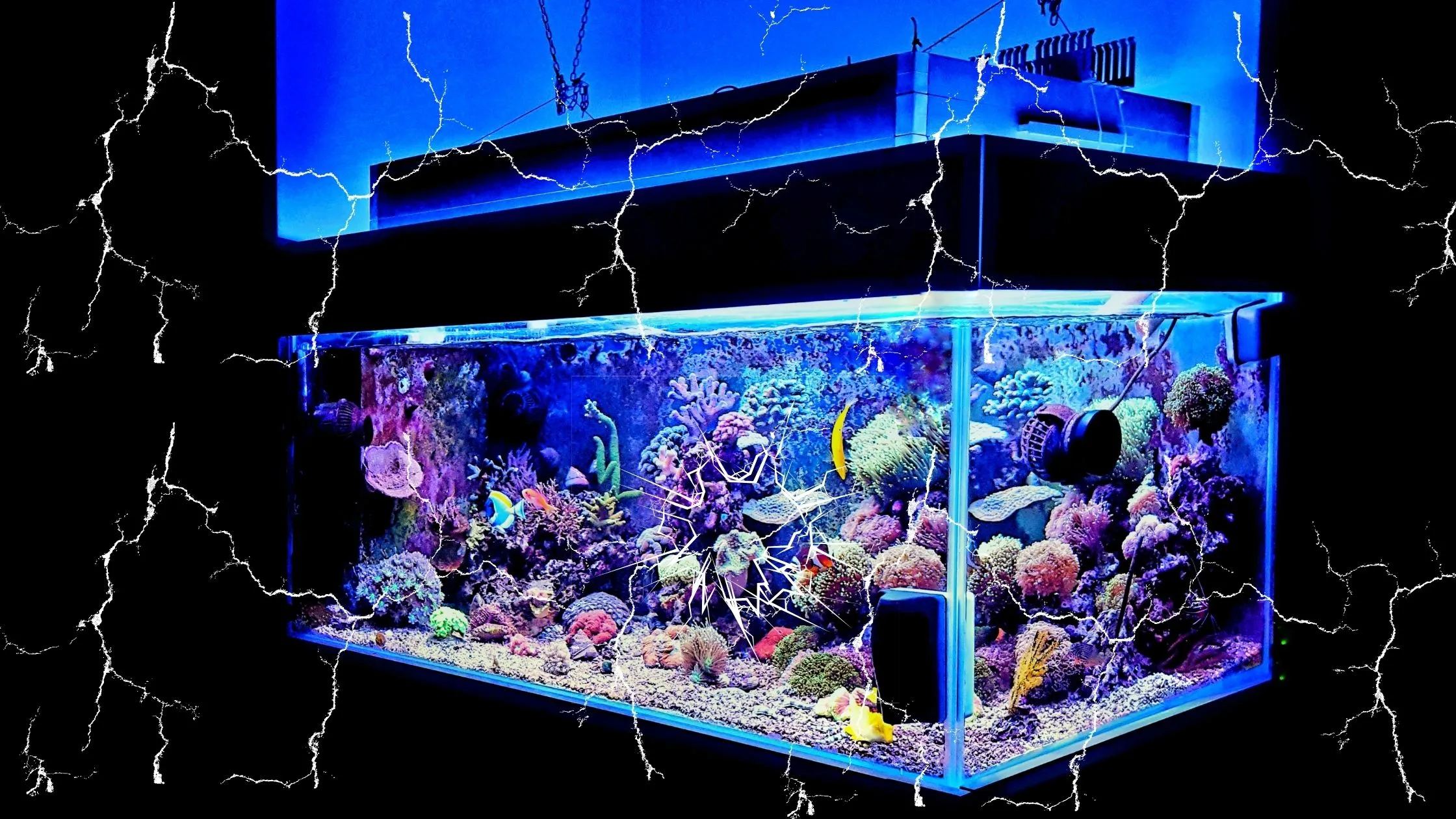 Do Acrylic Aquariums Crack?
