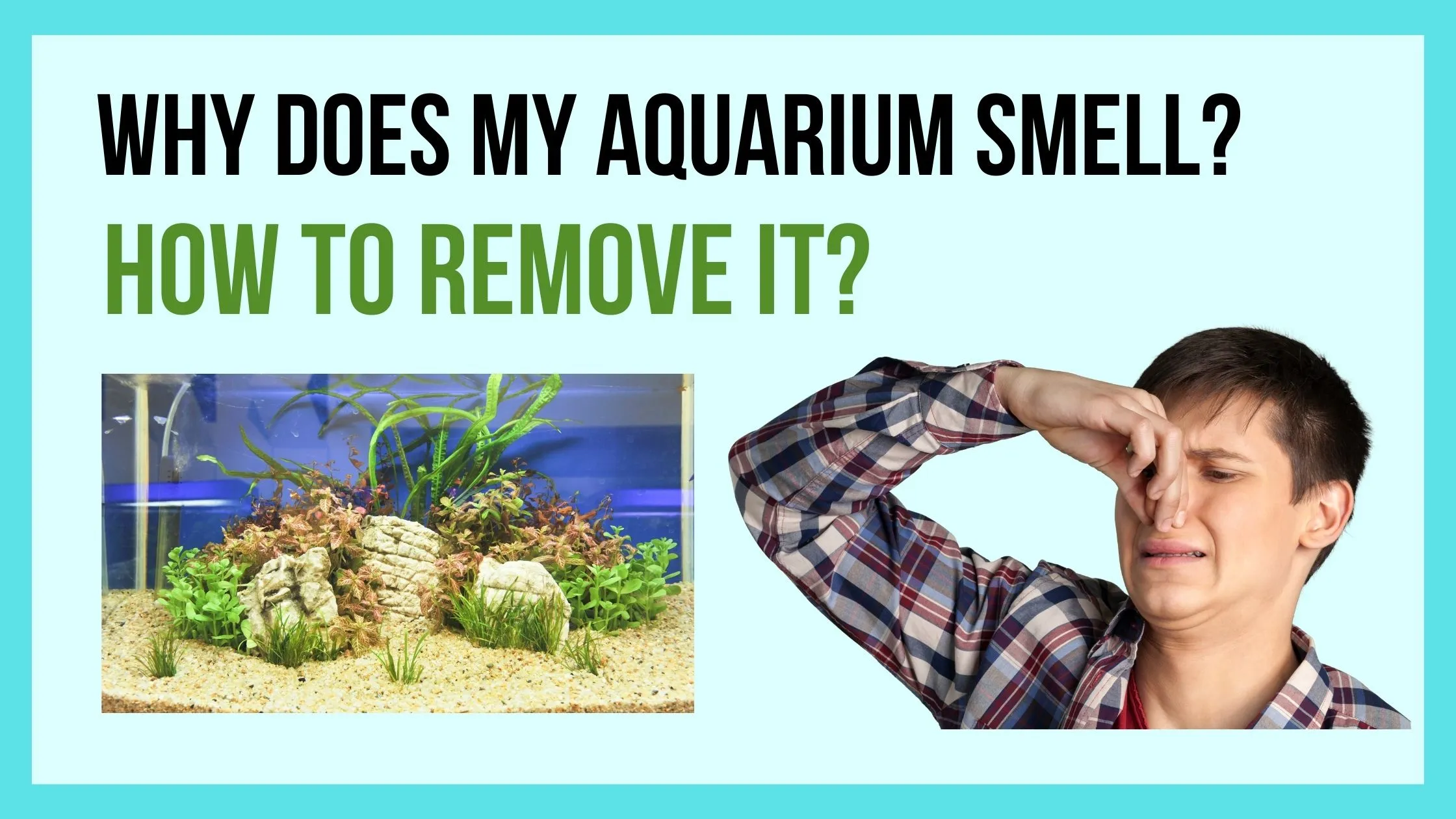 Why Does my Aquarium Smell