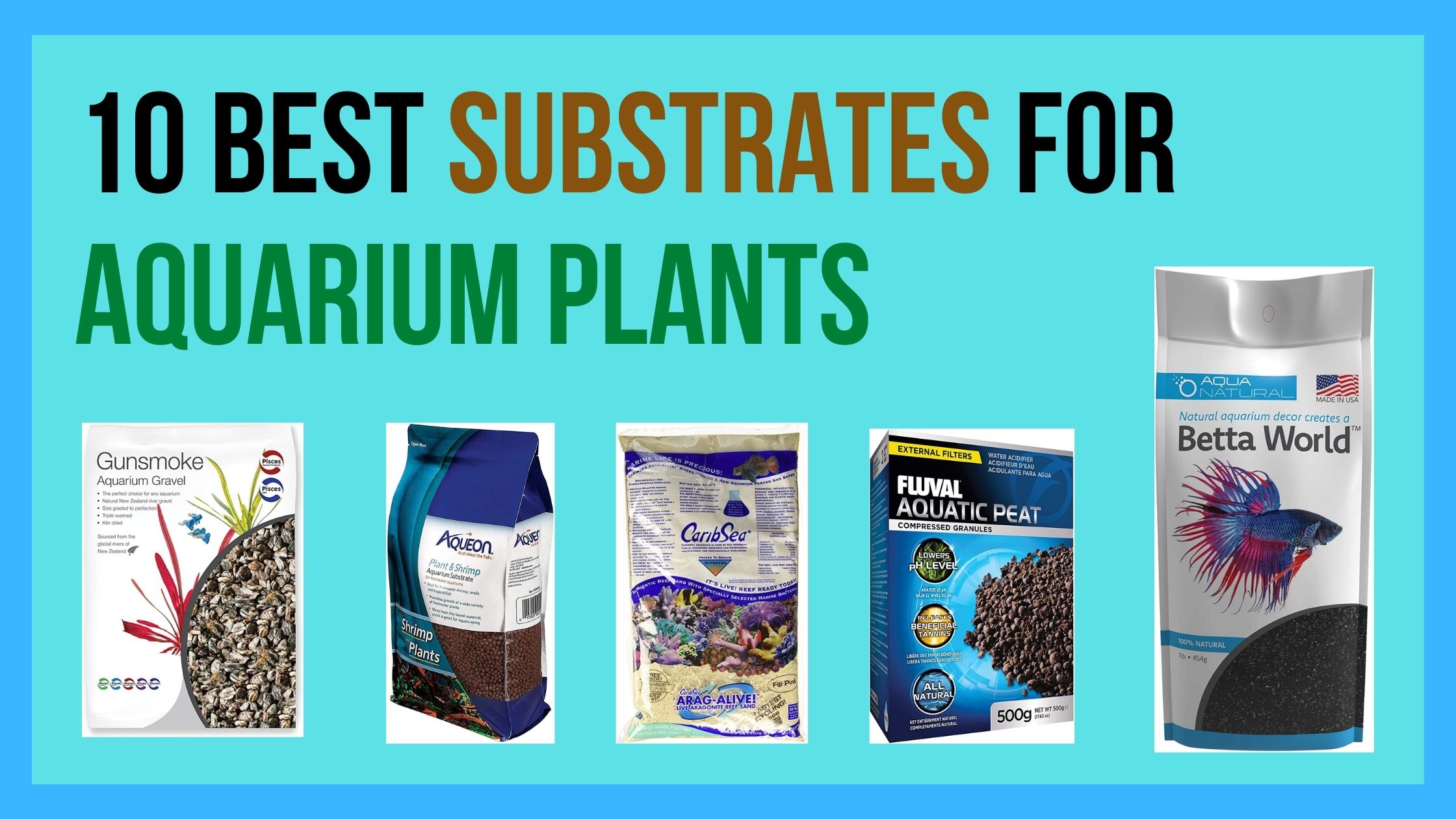 10 Best Substrates for Aquarium Plants
