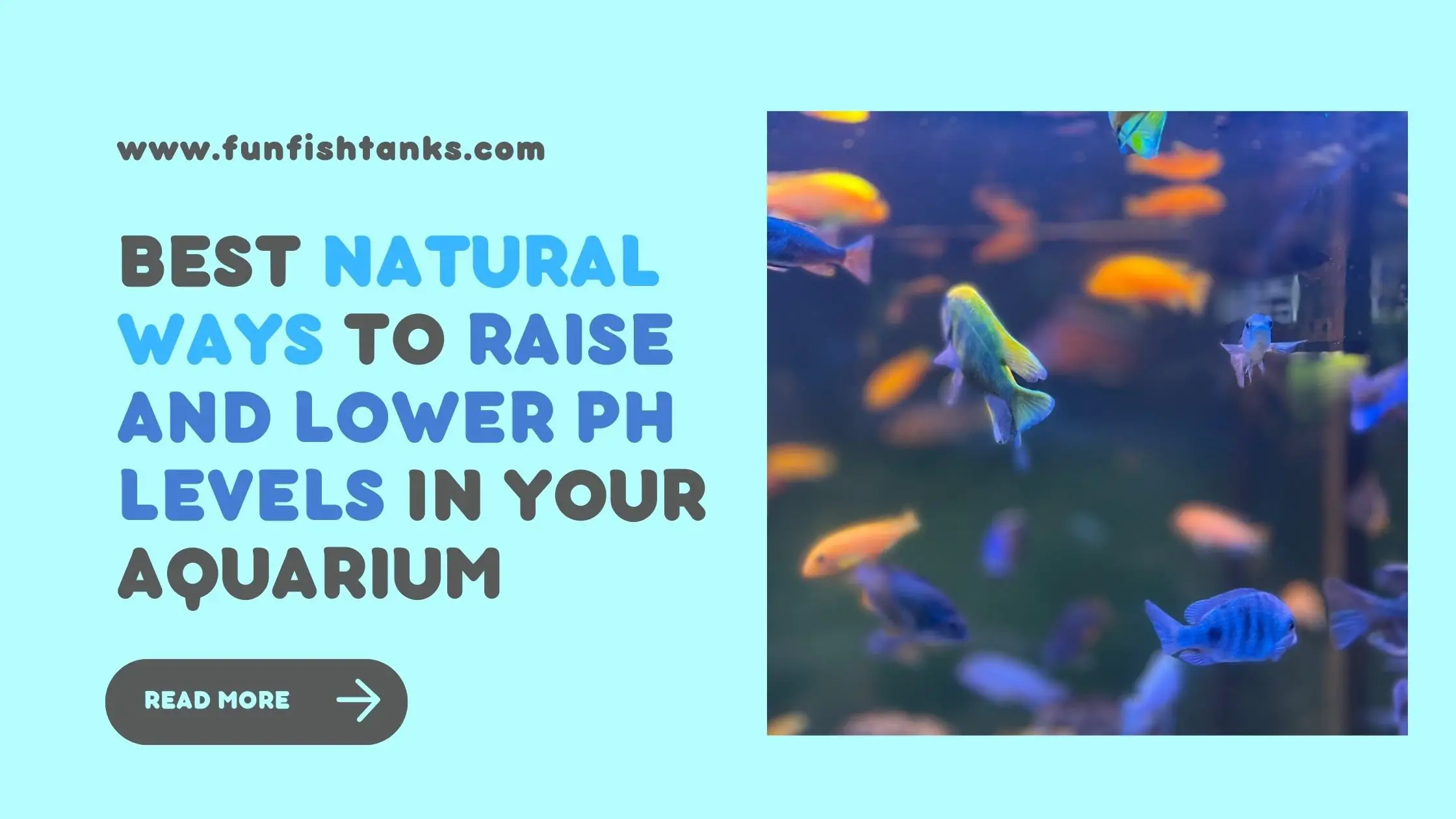 Best Natural Ways to Raise and Lower pH Levels