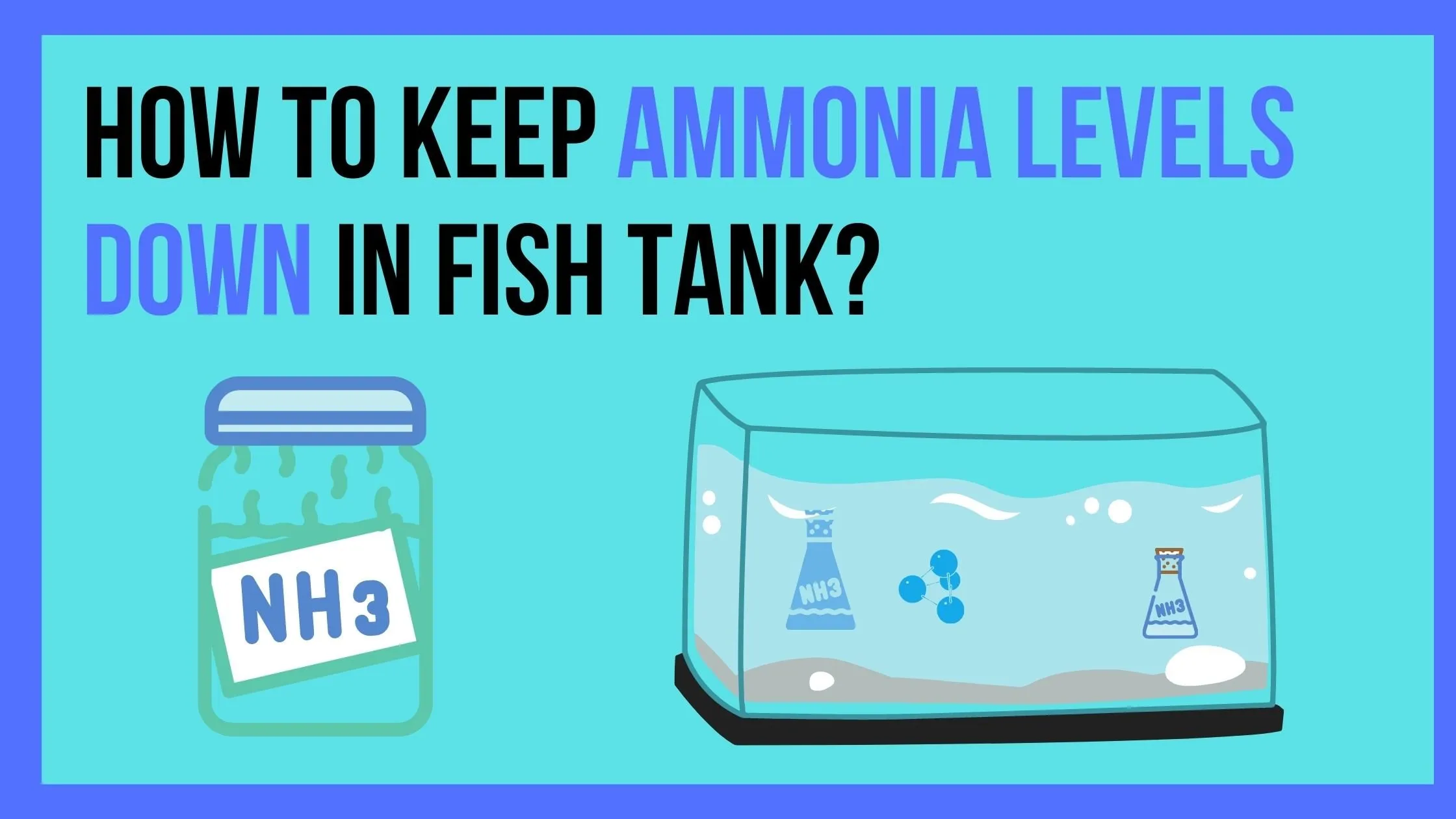 How to Keep Ammonia Levels Down in Fish Tank