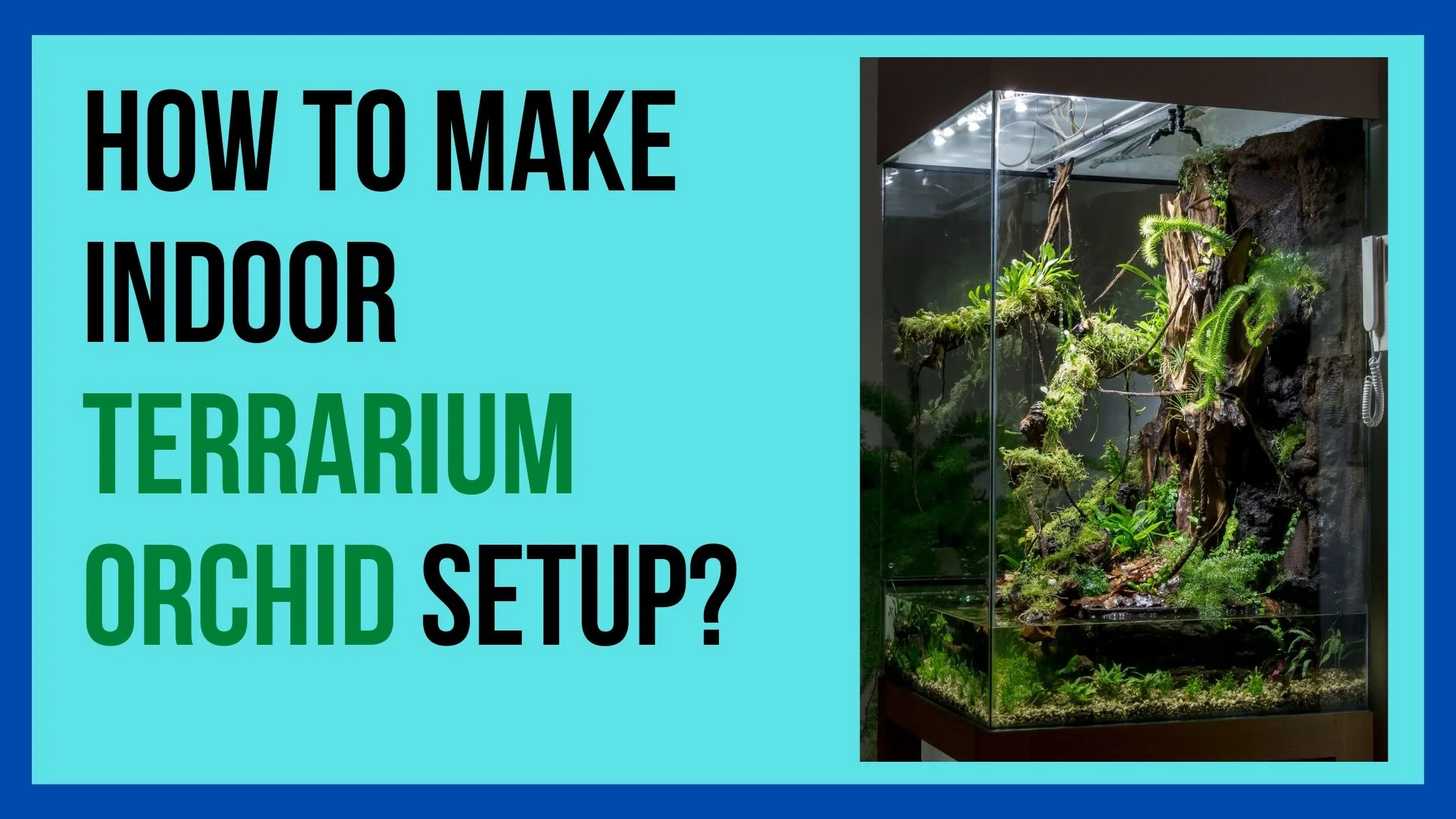 How to make Indoor Terrarium Orchid Setup
