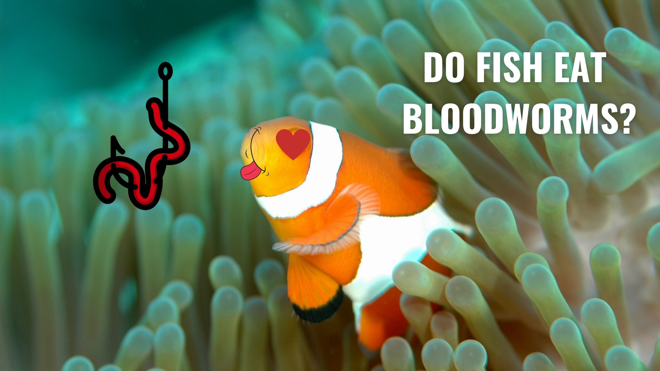 DO FISH EAT BLOODWORMS