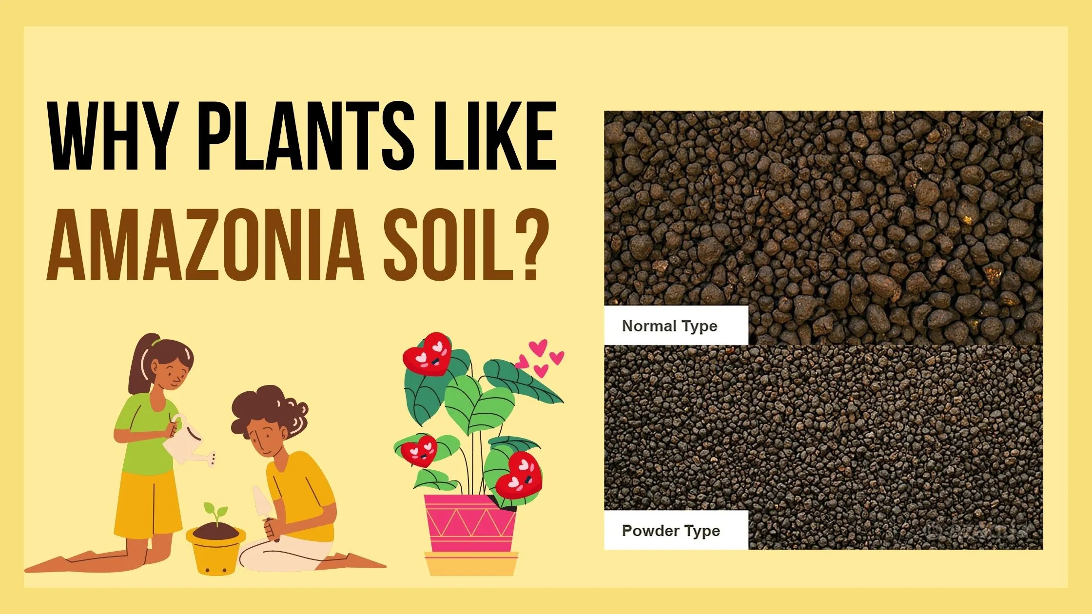 Why plants like Amazonia soil?