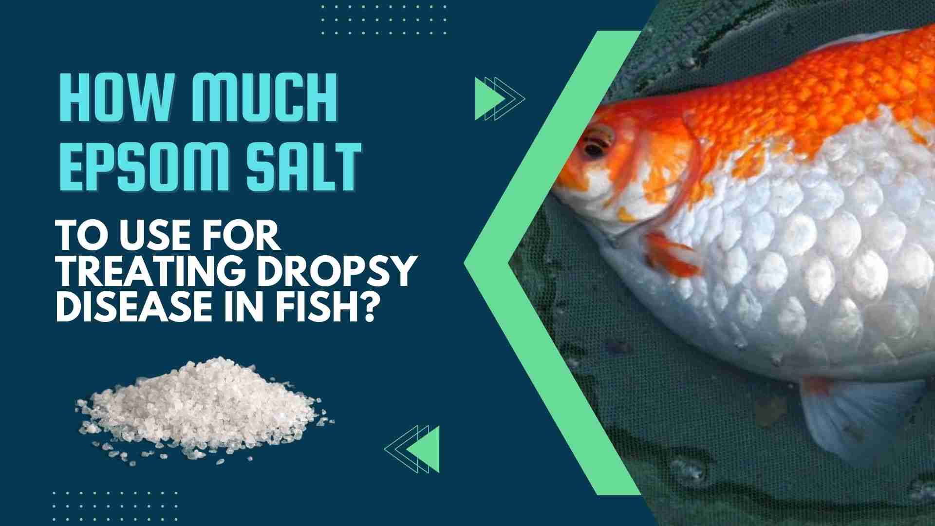 How Much Epsom Salt Should You Use for Treating Dropsy Disease in Fish