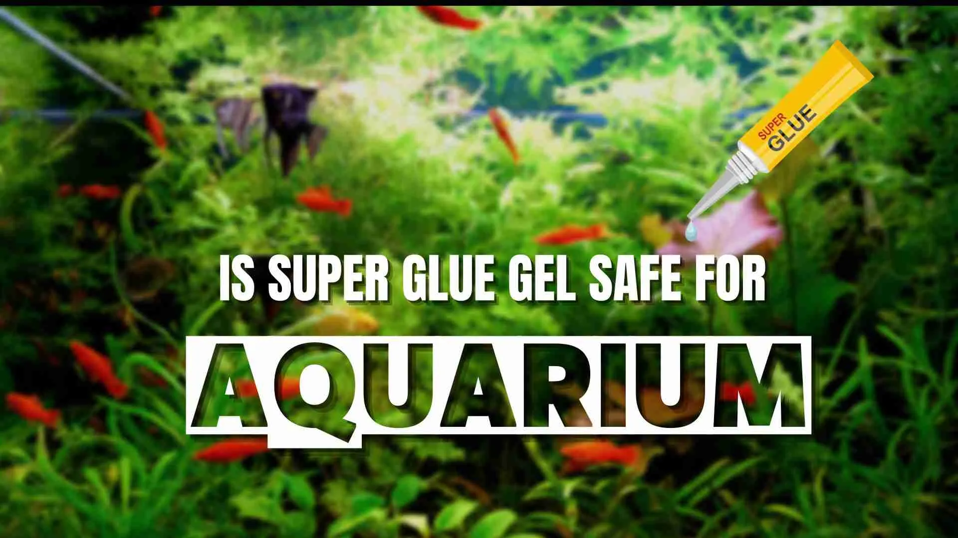 Is super glue gel safe for aquarium