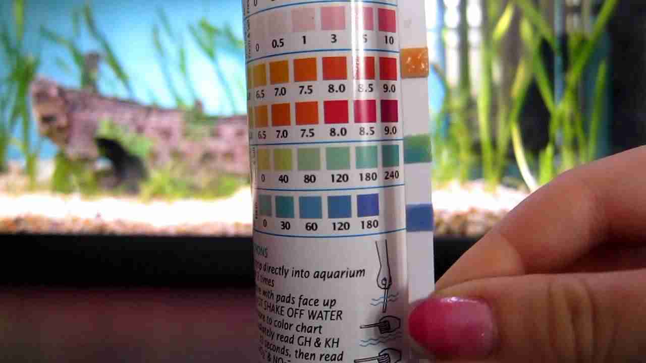Are Water Test Strips Accurate