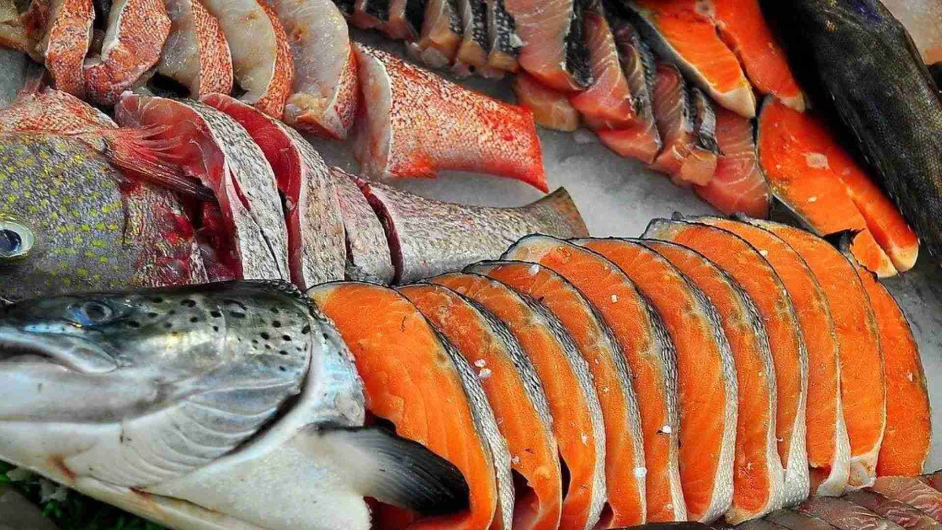 Top 6 Most Expensive Fish That Are Shockingly Tasty