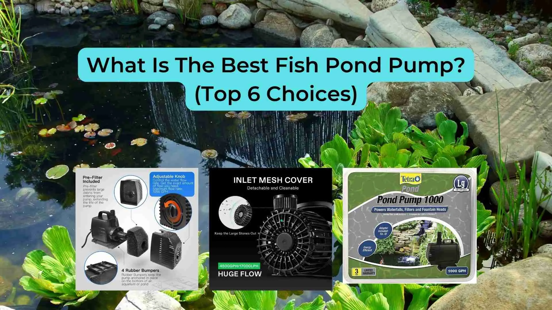 What-Is-The-Best-Fish-Pond-Pump