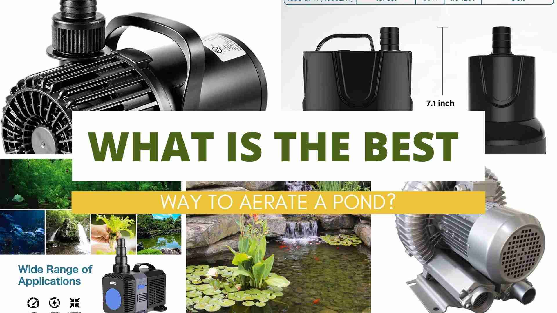 What is The Best Way To Aerate a Pond