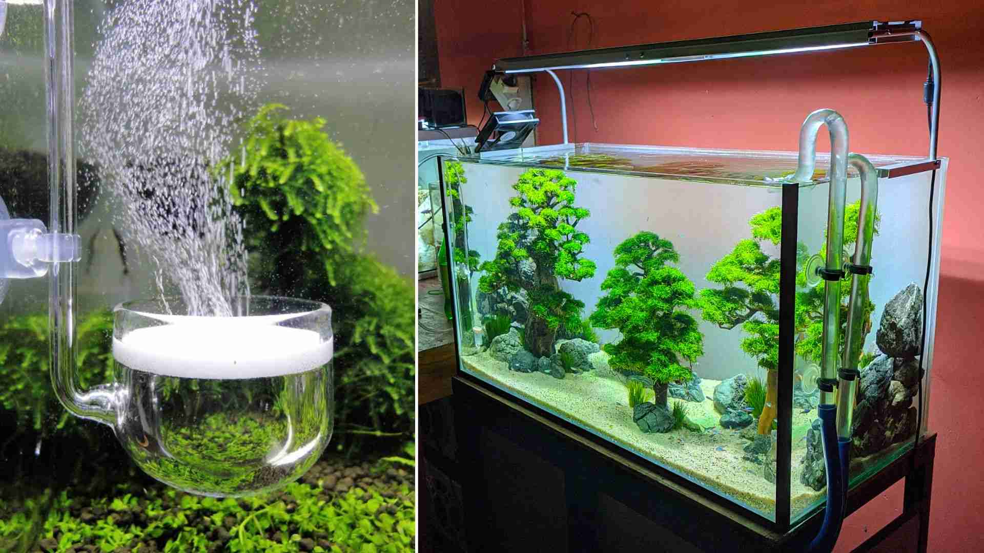 What is the Easiest Way to Add CO2 to Aquarium?
