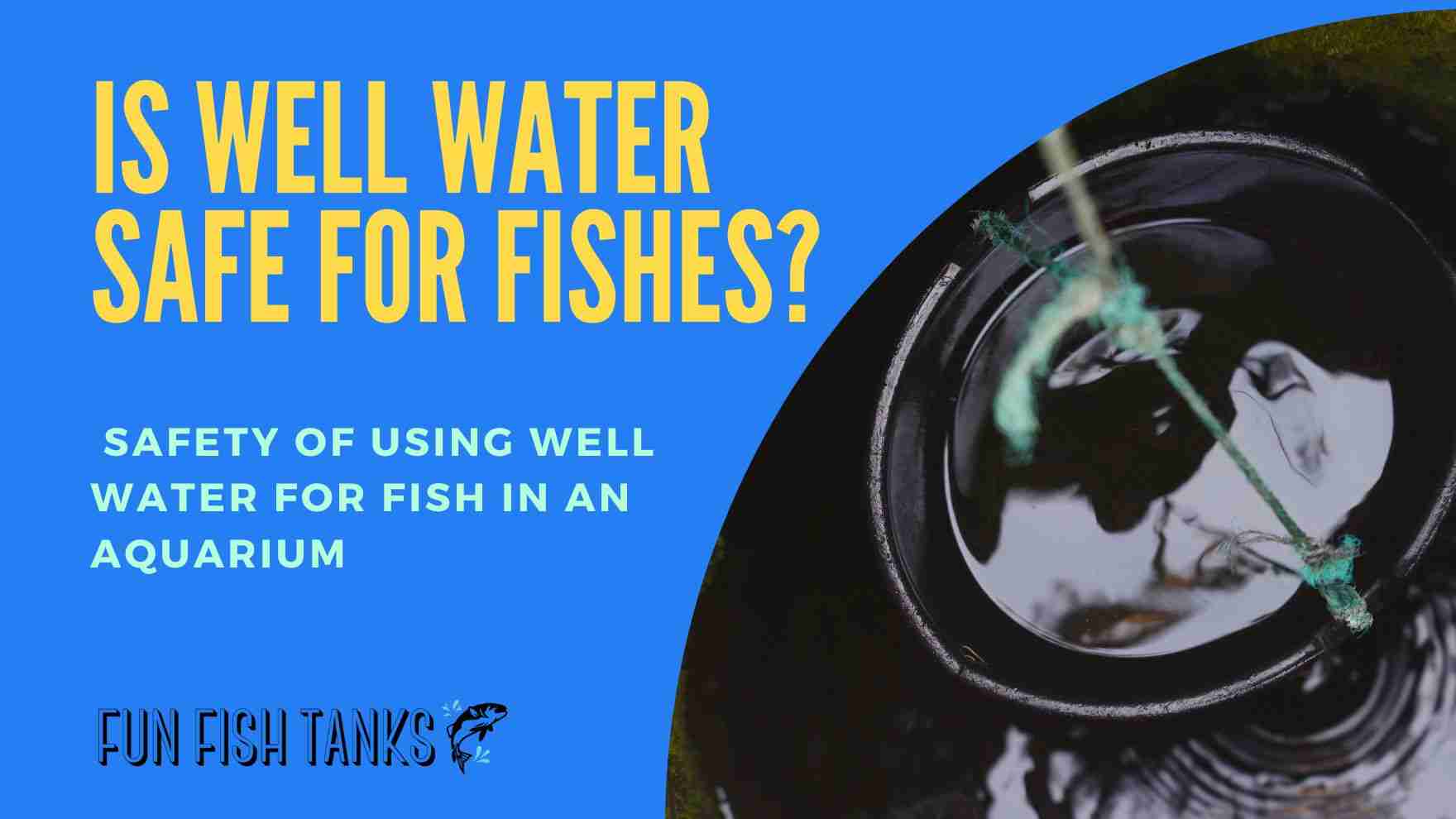 Is it OK to Use Well Water in a Fish Tank?