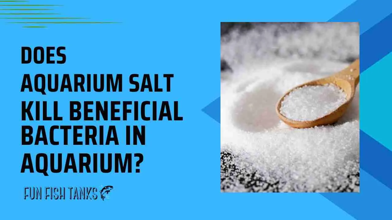 Does Aquarium Salt Kill Beneficial Bacteria in Aquarium?