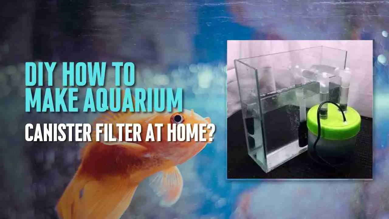 DIY How to make Aquarium Canister filter At Home?